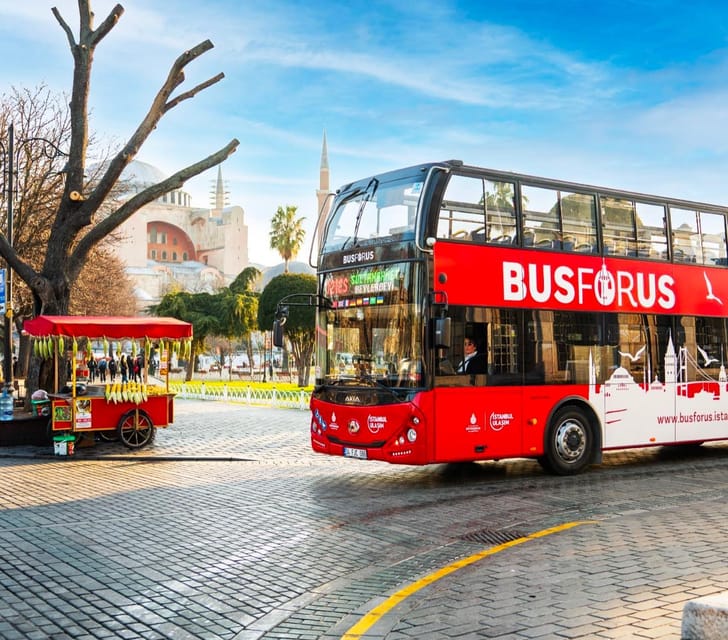 Istanbul: Hop-On Hop-Off Bus Ticket - Price and what you really get for $65