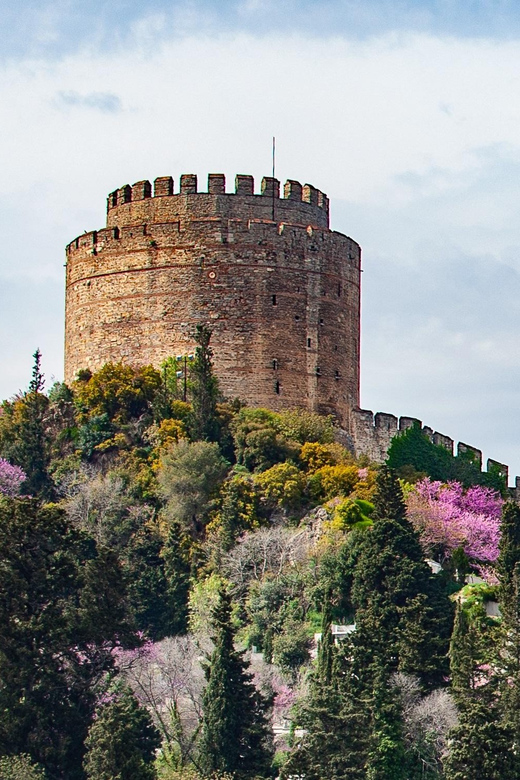Istanbul: Morning or Sunset Cruise with Guide and Snacks - Key highlights on this Bosphorus yacht cruise