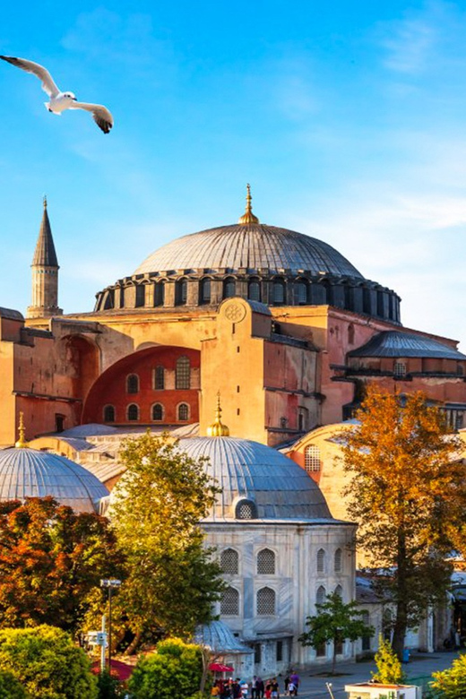 Istanbul: Old City Full-Day Tour -(Entry Fees Inculucing) - Topkapı Palace: Ottoman power made visible (even without Harem and Treasury)