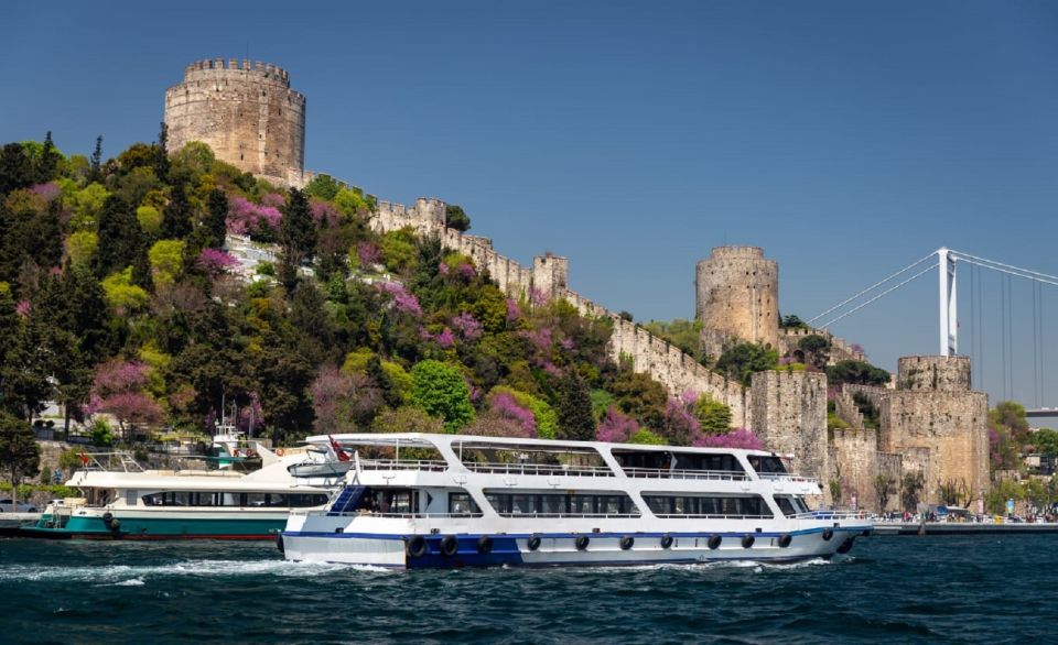 Istanbul: Old Town Tour and Bosphorus Lunch Cruise - Should you book this Istanbul Old Town and Bosphorus lunch cruise?