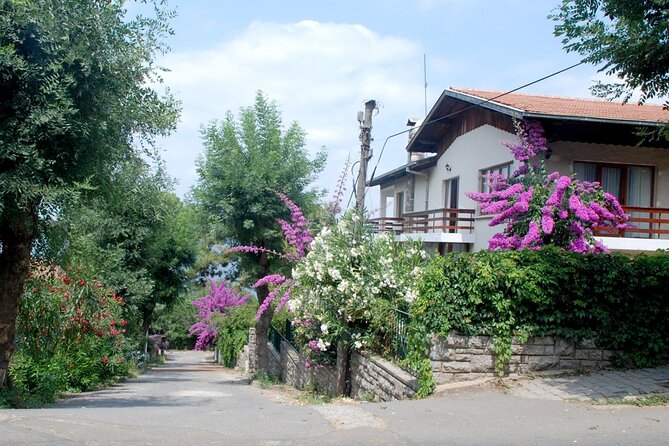 Istanbul: Princes Islands Tour with Heybeliada and Büyükada - Lunch, timing, and what $29.96 buys you
