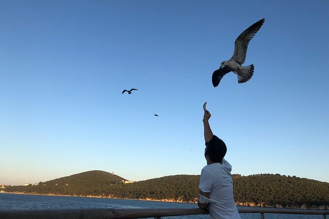 Istanbul: Princes Islands Tour with Heybeliada and Büyükada - Car-free islands: how you’ll move once you’re there