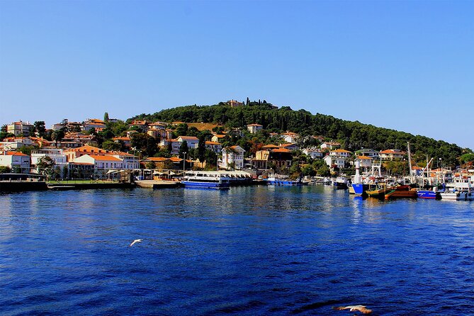 Istanbul: Princes Islands Tour with Heybeliada and Büyükada - Guide style: English/Arabic commentary vs time to explore