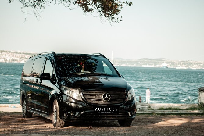 Istanbul Private Airport Transfers - Timing That Actually Helps: Flight Delays and the 90-Minute Wait