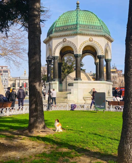 Istanbul Private City Tour By Art Historian - Humor, Photos, and a Day That Actually Fits You