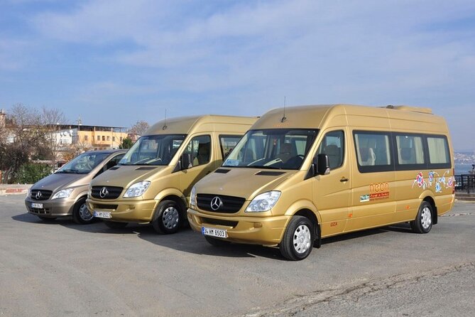 Istanbul Private Cruise Port to City Hotel Transfer - Pickup reality check: what can slow you down at the port