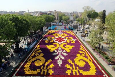 Istanbul: Private Full-Day Old City Highlights Tour - Your Licensed Guide and the Pickup That Gets You Moving
