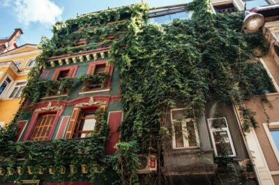 Istanbul: Private Guided Food Tour with 10 Tastings - Starting in Cihangir: what to do before you meet your host