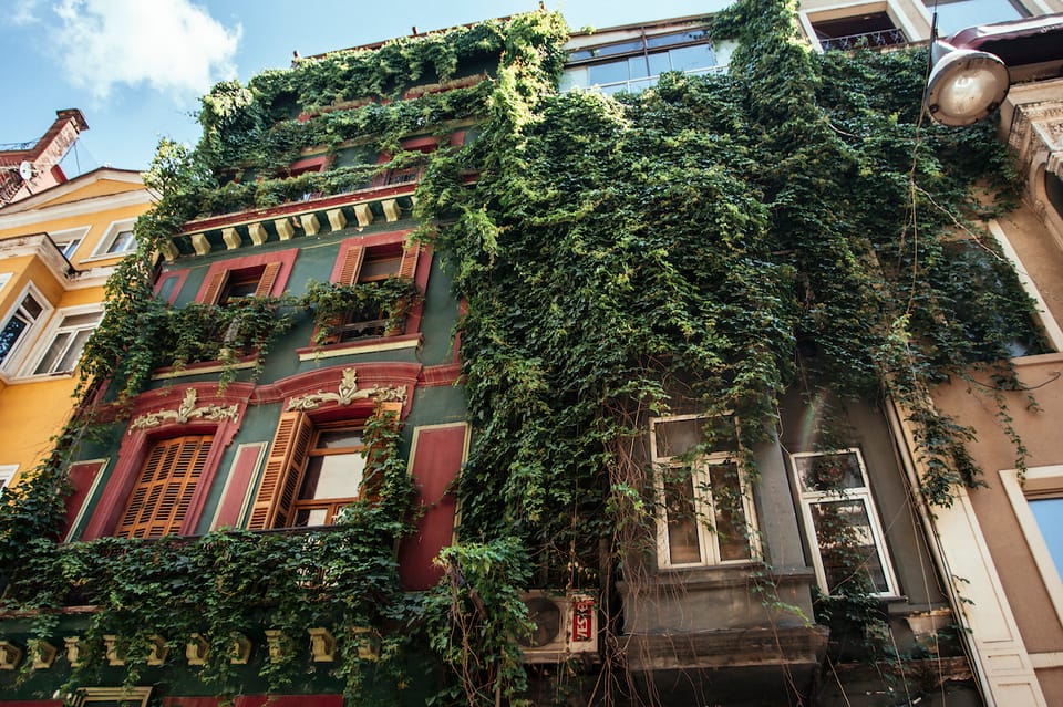 Istanbul: Private Guided Food Tour with 10 Tastings - Starting in Cihangir: what to do before you meet your host