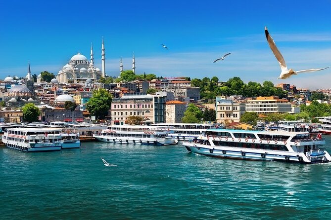 Istanbul Private Tour from Cruise Port - Floorshow: Belly Dancers, Anatolian Folklore Band, and the MC Moment