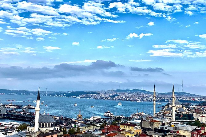 Istanbul Private Tour with Official Licensed Guide – Fast Entry - Hagia Sophia Grand Mosque: priority entry at a 1500-year icon
