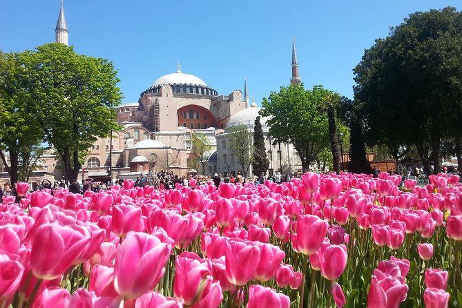 Istanbul Private Tours: 1, 2 or 3 Day Highlights - Grand Bazaar and Spice Market: shopping without losing your day