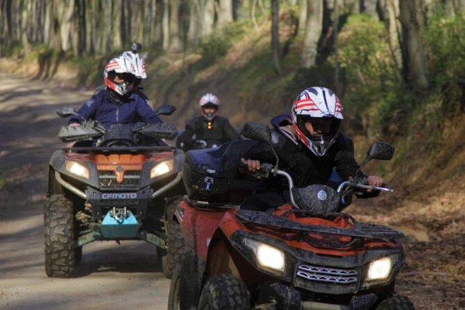 Istanbul Quad Bike Safari with Optional Zipline Experience - Quick Highlights: What’s Actually Good Here
