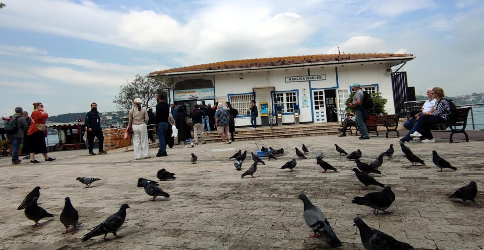 Istanbul Revealed: Historic Pathways and Bosphorus Serenity - Price and Value: What You’re Really Paying For