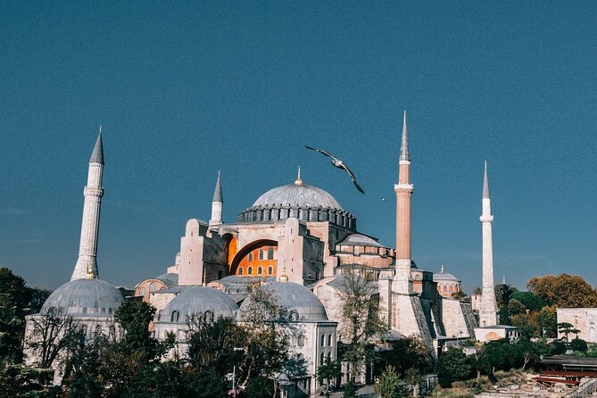 Istanbul Shore Excursion by TRAM: Half Day Private Tour from Port - Tram hops and the walkable old-city strategy