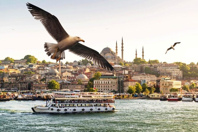 Istanbul: Spice Market and Bosphorus Tour - Price and logistics at $99: what feels like a fair deal