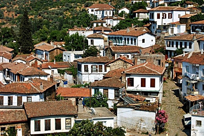 Istanbul to Ephesus Full Day Guided Tour, Flight and Lunch incl. - Sirince Village Break for Fruit Wines and Turkish Home-Style Time