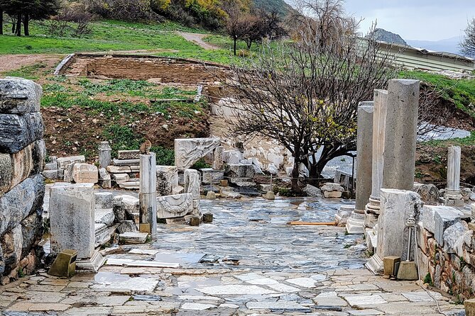 Istanbul to Ephesus Full Day Private Tour with Domestic Flights - Ephesus ruins on a guided walk: the marble-street highlight reel