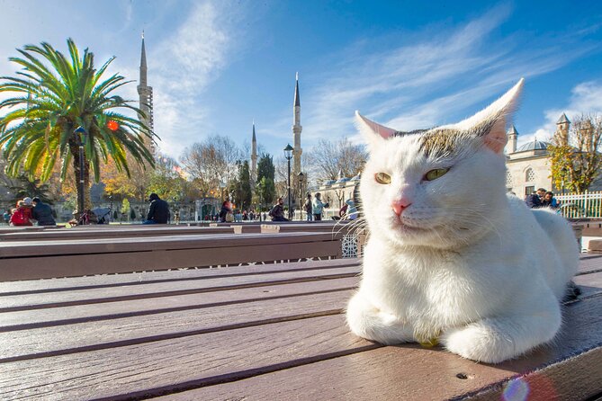 Istanbul Walking Tour with Audioguide on Your Smartphone - Museum Pair: Islamic Science and the Istanbul Archaeological Museum