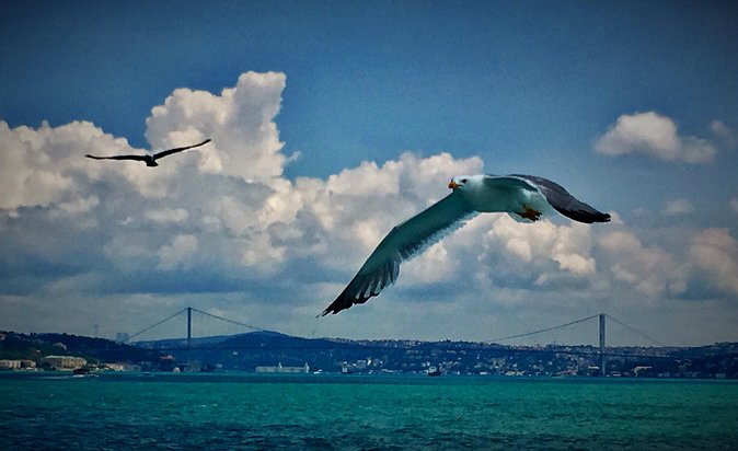 Luxury Private and Guided Istanbul Food Tour with a local guide - How the Tour Works in 5 Hours (and Why That Matters)