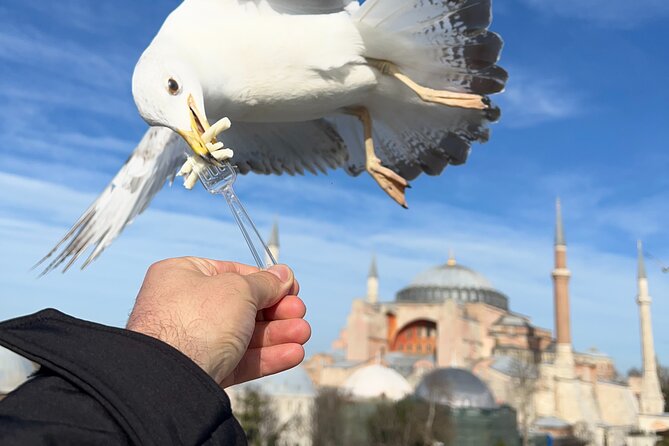 Multi 2 Days Private Guided Istanbul Iconic Landmarks City Tour - Skip-the-line help and the real cost picture