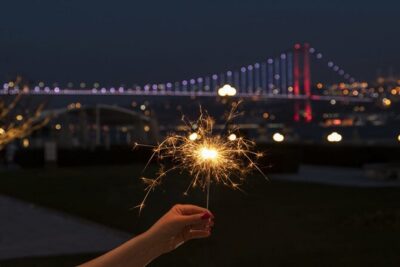New Year's Eve dinner cruise & party on Bosphorus, Istanbul 2026 - Dinner and drinks: when buffet style meets NYE expectations
