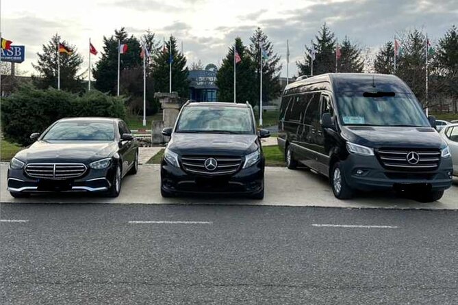 One Way Private Vip Transfer from Istanbul Airport to City Center - Who this transfer is best for in Istanbul
