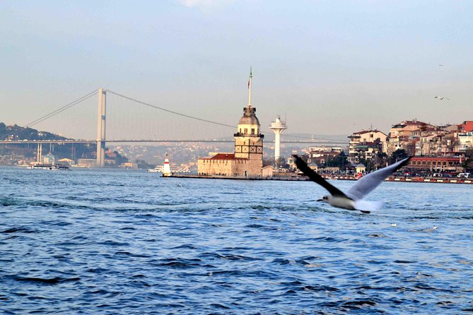 Panoramic City Tour with Bosphorus Strait Sightseeing Cruise - Who should book this Bosphorus + city combo