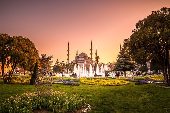 Personalized Istanbul Tour with Private Local Tour Guide - Meeting point, mobile ticket, and how to plan your walking day