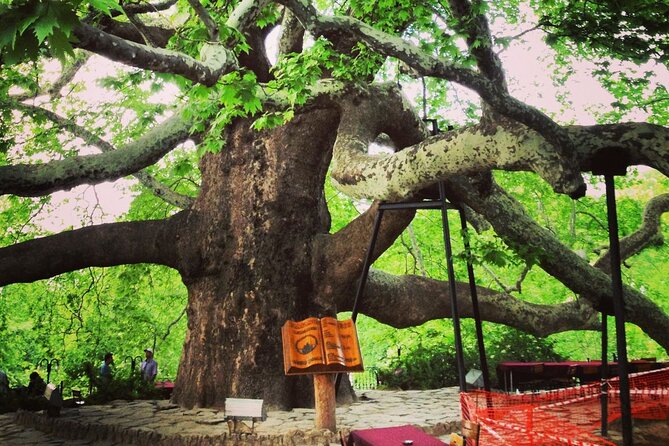 Premium Bursa and Uludag Tour - (Breakfast-Lunch Included) - Cumalıkızık Village and Serpme Kahvaltı: The Day’s Heartbeat