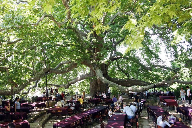 Premium Bursa and Uludag Tour - (Breakfast-Lunch Included) - İzmit Gulf Ferry Trip: A Rare Break From the Road