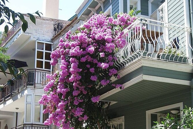 Princes Island Full Day Tour - Büyükada: 3 hours that can feel perfect or too short