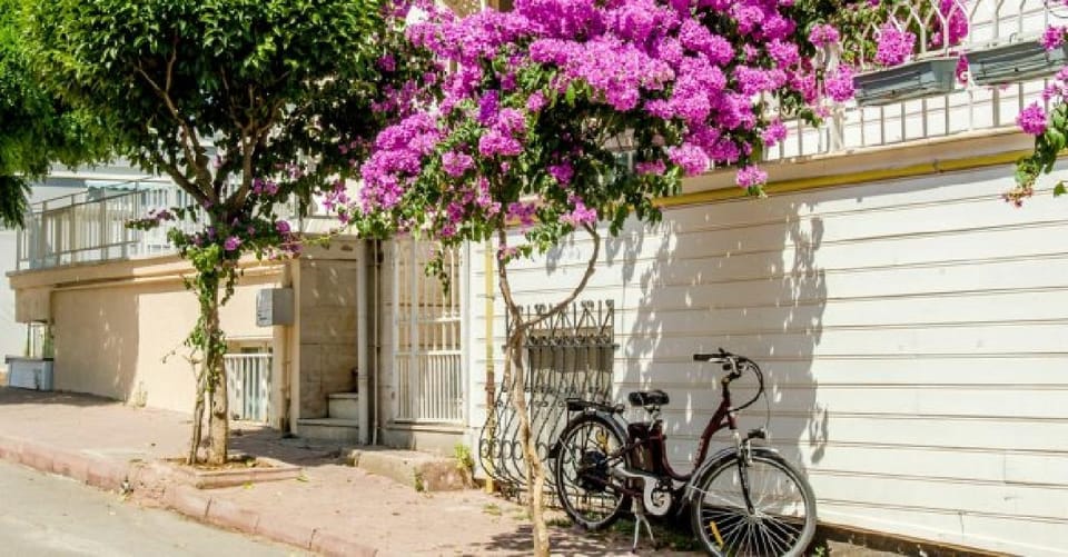 Prince's Island Group Tour - Büyükada exploration: waterfront strolling, guided orientation, and lunch