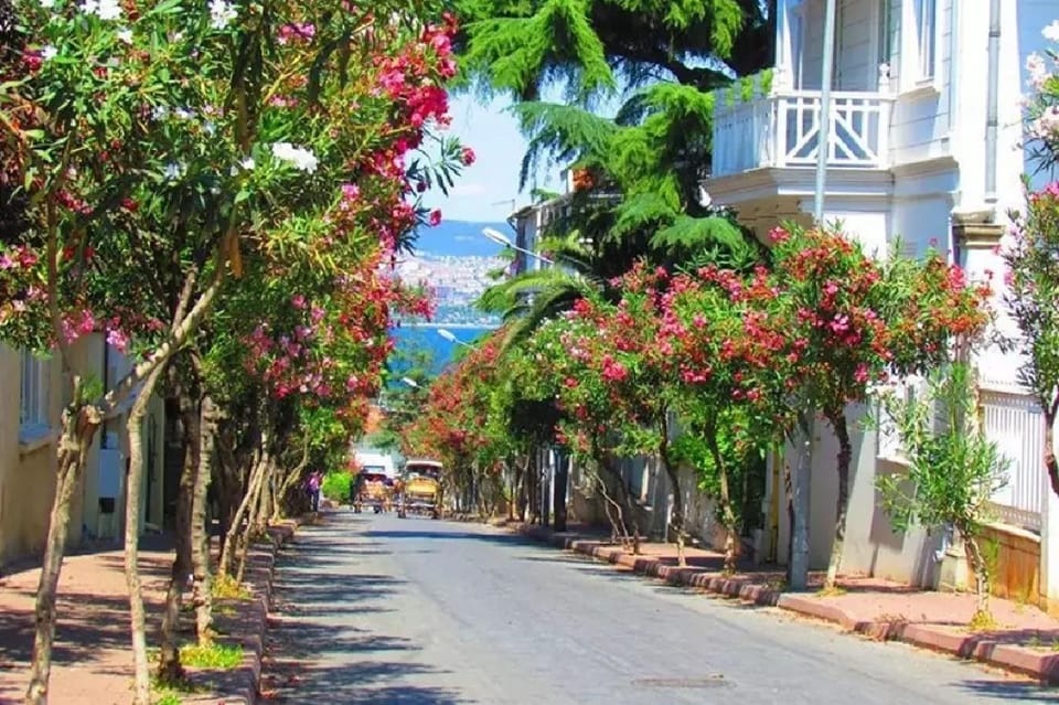 Prince's Island Group Tour - The optional buggy tour on Büyükada: when it’s worth paying extra