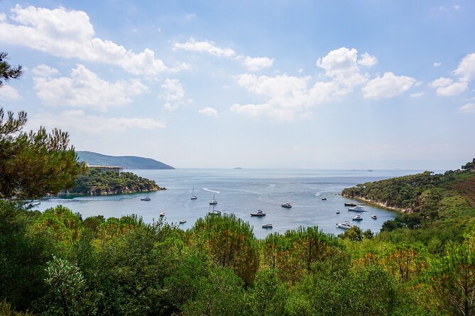 Princes' Islands Cruise with Lunch and Transfer Full-Day Tour - Your day starts with pickup, then a transfer to Ahırkapı