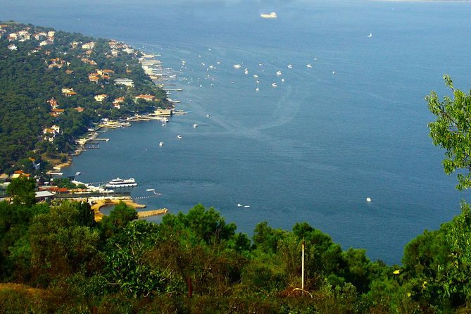 Princes' Islands Tour from Istanbul - Quick, Useful Things to Know Before You Go