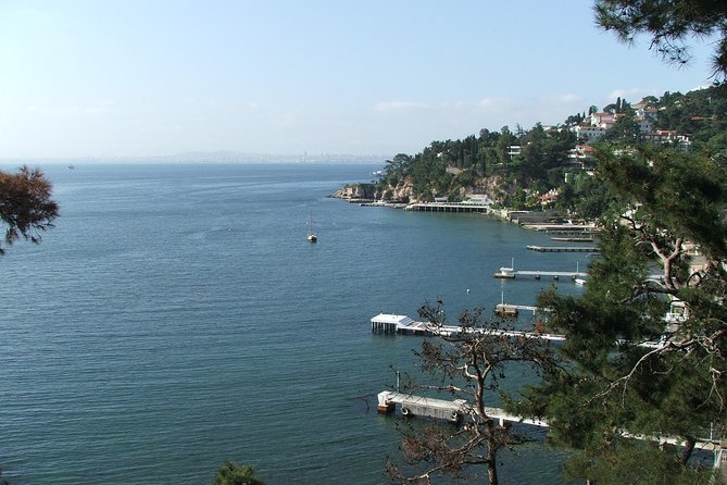 Princes' Islands Tour from Istanbul - Cruising Out of Istanbul: Boat Views You Can’t Replicate From Land