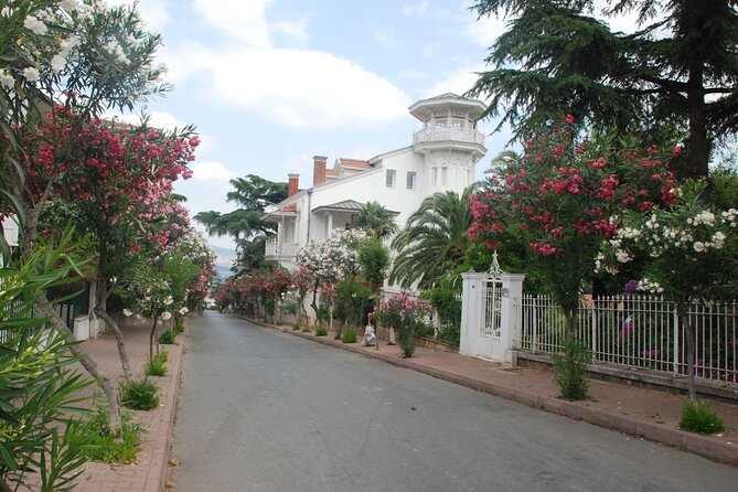 Princes Islands Tour WITH Private Boat, optional Pickup & Lunch - Büyükada (Big Island): Where the Time Really Counts