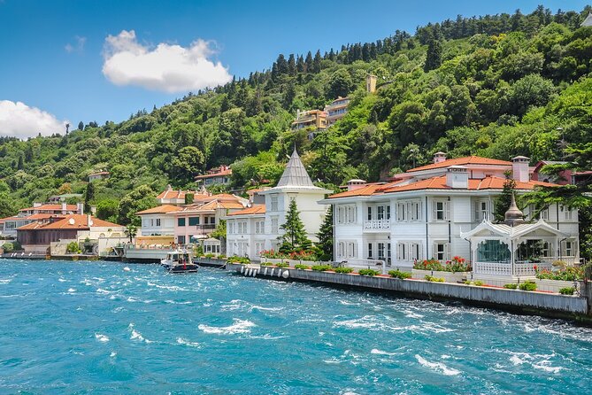 Princess Island Tour Full Day - Meeting at Kadir Has University and getting to the pier without stress