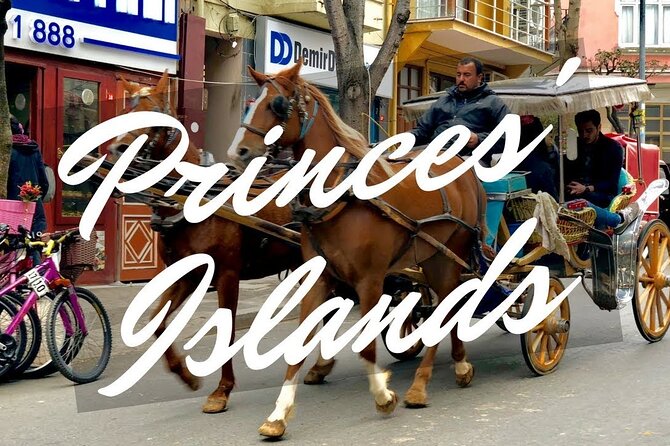 Princess Island Tour with Lunch & Ferry Ride - Beach Time: Lounge, Breathe, and Reset
