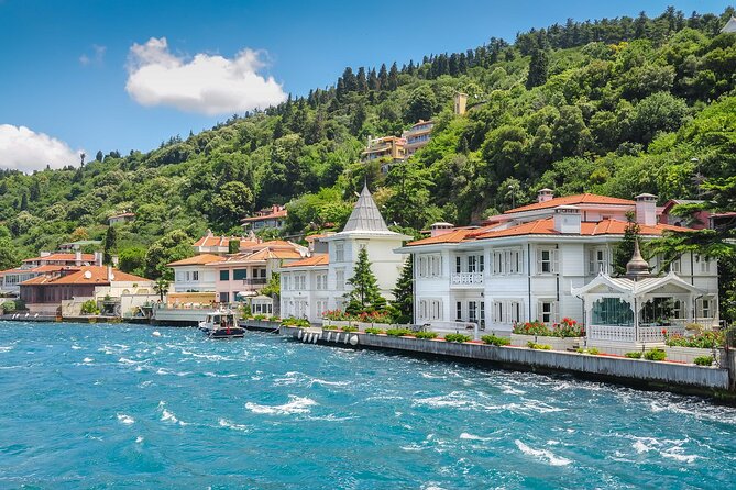 Princess Islands Tour With Lunch and Guide - Riding from Istanbul to the Princes’ Islands without the headache