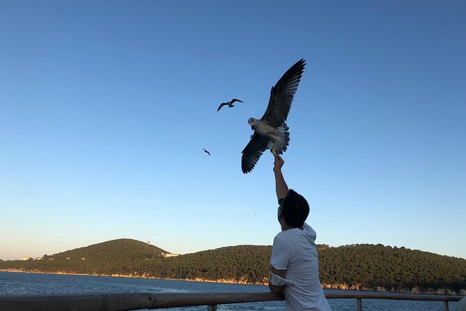 Princess Islands Tour With Lunch and Guide - Büyükada: lunch on board and beach time that actually works