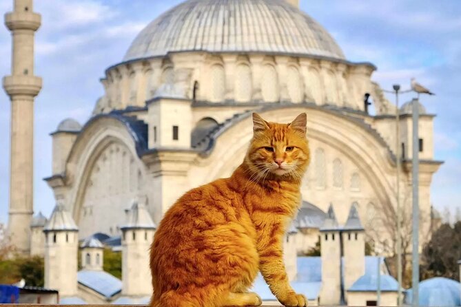 Private Cultural Tour of Istanbul: 1 or 2-Day Tailored Experience - Key things that make this tour worth your time