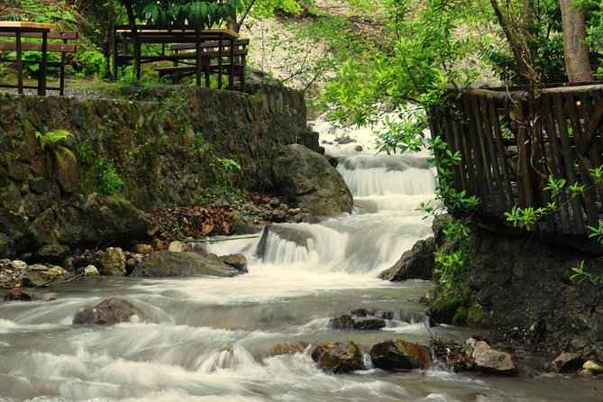 Private Day Trip From Istanbul to Lake Sapanca and Maşukiye Village - How the driver experience works (and what it means for you)