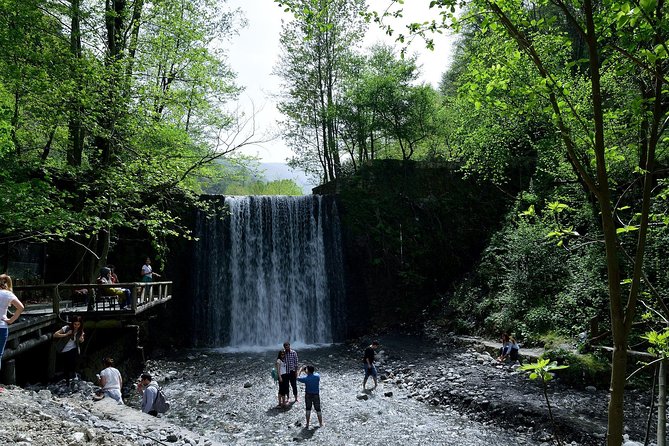 Private Day Trip From Istanbul to Lake Sapanca and Maşukiye Village - Private vehicle logistics: timing, comfort, and staying connected