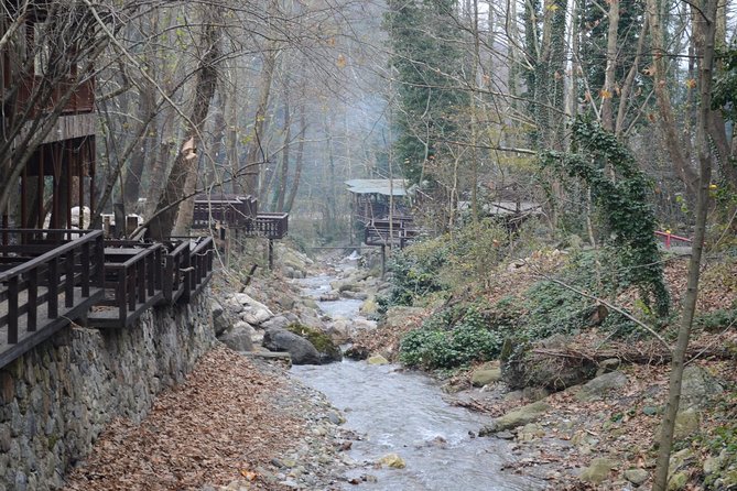 Private Day Trip From Istanbul to Lake Sapanca and Maşukiye Village - Price and value: what you’re paying for at $308.32 per person