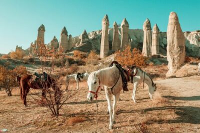Private Day Trip to Cappadocia from Istanbul - Price and Logistics: what $794.17 per person really covers