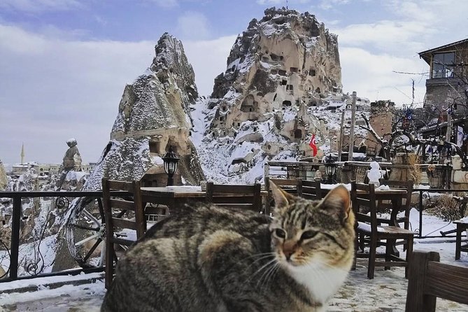 Private Day Trip to Cappadocia from Istanbul - Paşabağ Fairy Chimneys (Monks Valley): the mushroom forms and St. Simeon’s cell