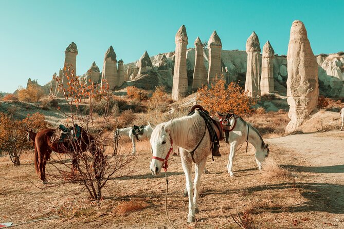 Private Day Trip to Cappadocia from Istanbul - Price and Logistics: what $794.17 per person really covers
