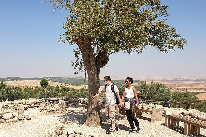 Private Göbeklitepe Tour from Istanbul - Price and logistics: what you’re paying for (and what you still need to budget)
